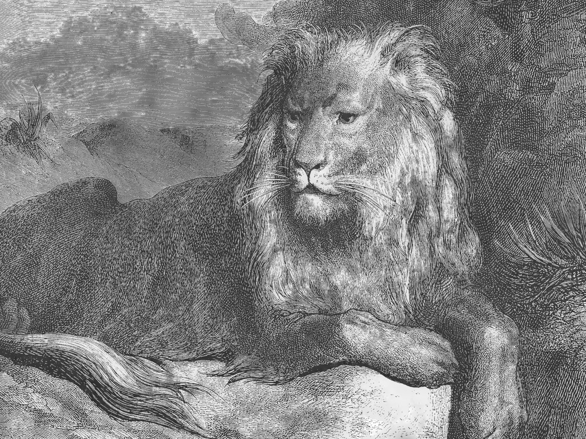 Des fables problématiques